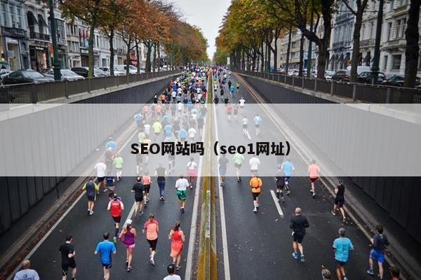 SEO网站吗（seo1网址）