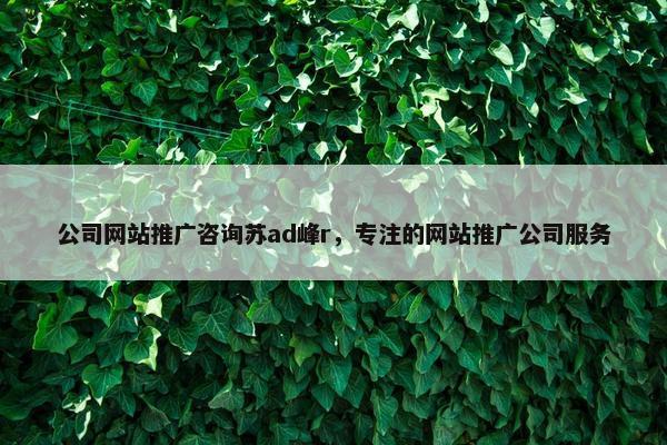 公司网站推广咨询苏ad峰r，专注的网站推广公司服务