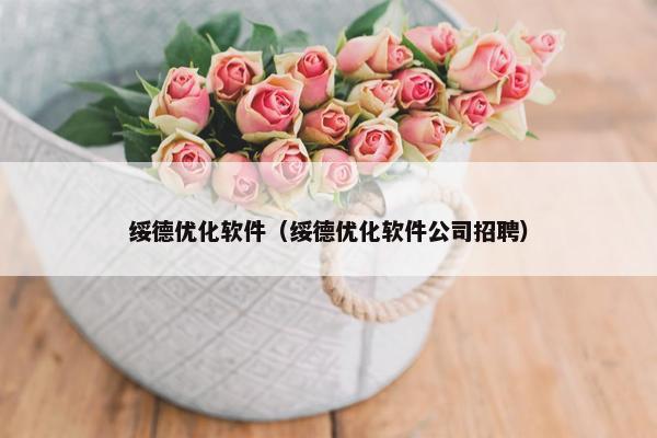 绥德优化软件（绥德优化软件公司招聘）