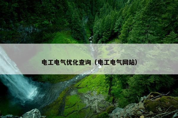 电工电气优化查询（电工电气网站）
