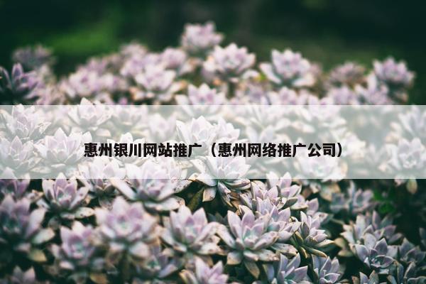 惠州银川网站推广（惠州网络推广公司）