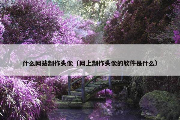 什么网站制作头像（网上制作头像的软件是什么）