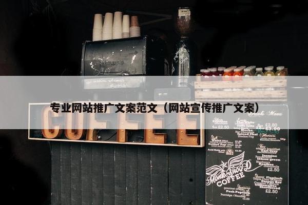 专业网站推广文案范文（网站宣传推广文案）
