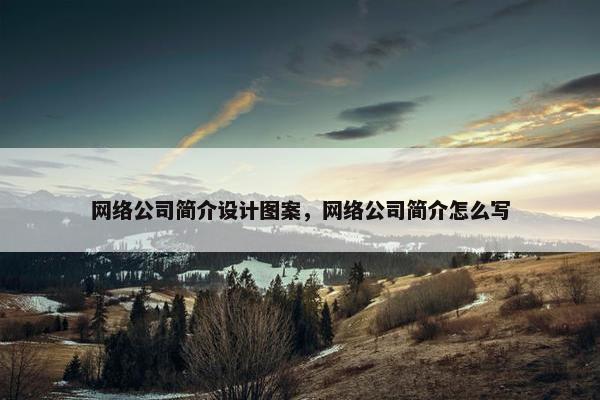 网络公司简介设计图案，网络公司简介怎么写