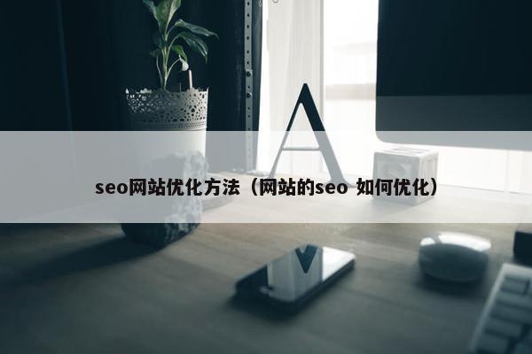 seo网站优化方法（网站的seo 如何优化）