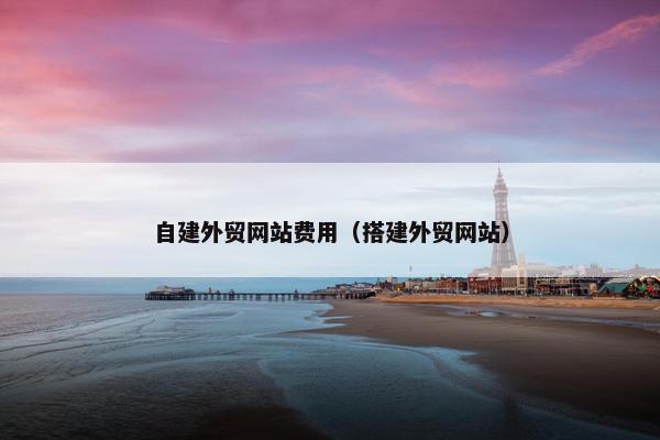 自建外贸网站费用（搭建外贸网站）