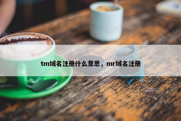 tm域名注册什么意思，mr域名注册