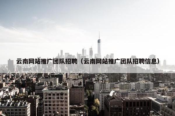 云南网站推广团队招聘（云南网站推广团队招聘信息）
