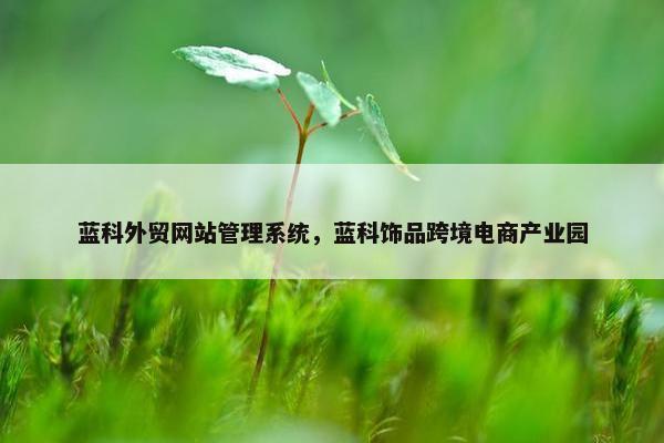 蓝科外贸网站管理系统，蓝科饰品跨境电商产业园