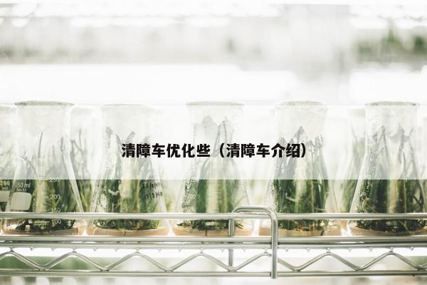 清障车优化些（清障车介绍）