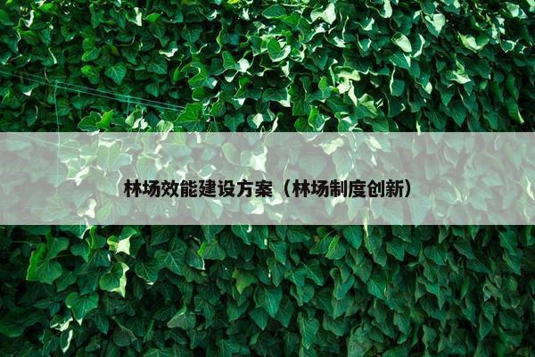 林场效能建设方案（林场制度创新）