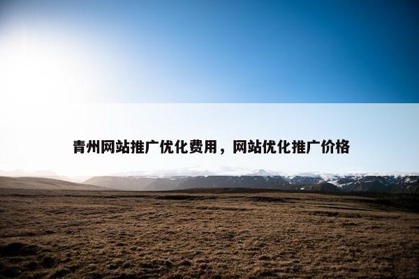 青州网站推广优化费用，网站优化推广价格