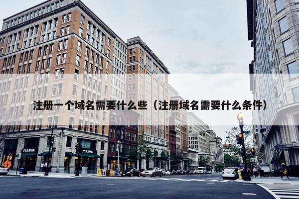 注册一个域名需要什么些（注册域名需要什么条件）