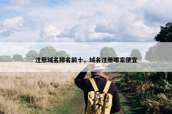 注册域名排名前十，域名注册哪家便宜