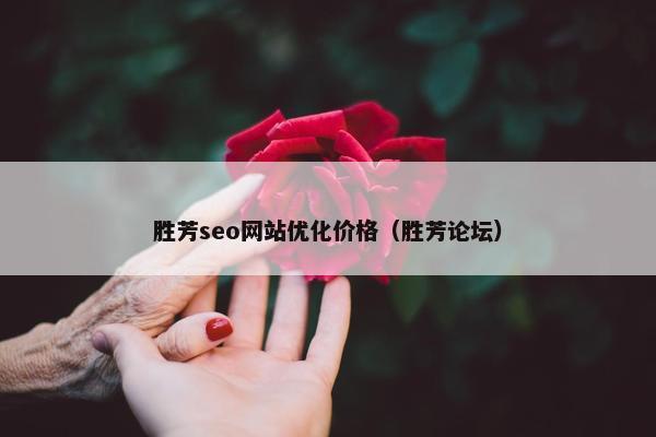 胜芳seo网站优化价格（胜芳论坛）