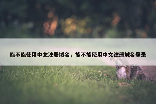 能不能使用中文注册域名，能不能使用中文注册域名登录