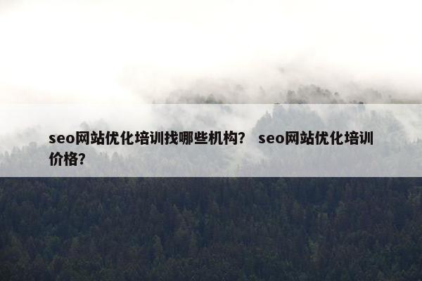 seo网站优化培训找哪些机构？ seo网站优化培训价格？