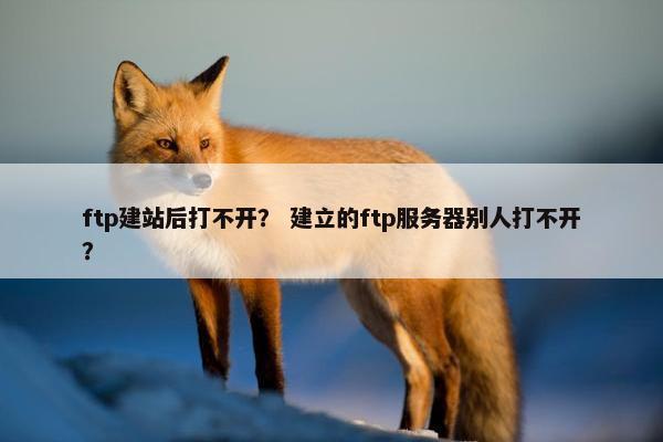 ftp建站后打不开？ 建立的ftp服务器别人打不开？