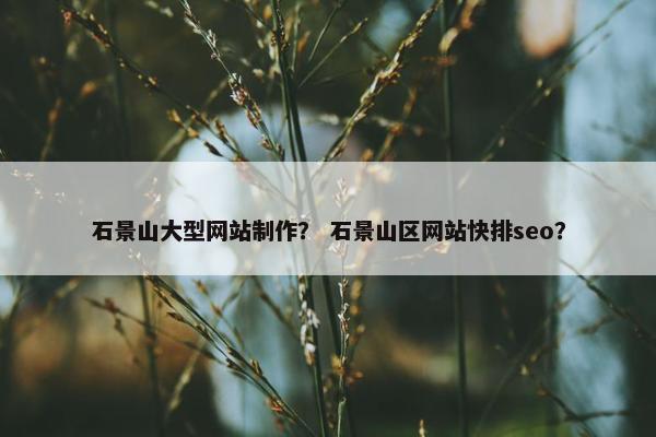 石景山大型网站制作？ 石景山区网站快排seo？