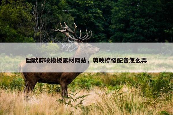 幽默剪映模板素材网站，剪映搞怪配音怎么弄