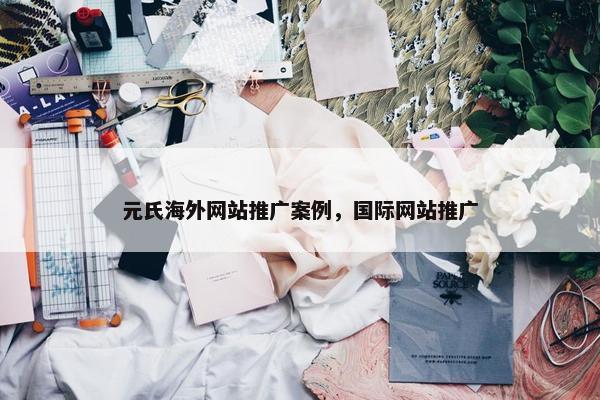 元氏海外网站推广案例，国际网站推广