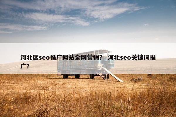 河北区seo推广网站全网营销？ 河北seo关键词推广？