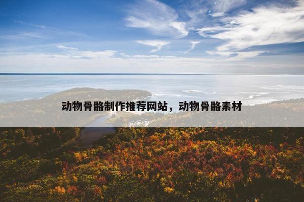 动物骨骼制作推荐网站，动物骨骼素材