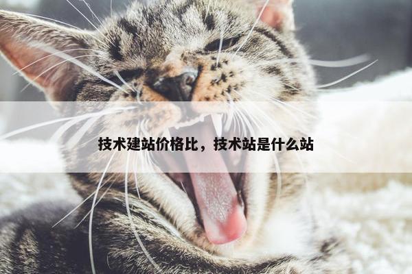 技术建站价格比，技术站是什么站