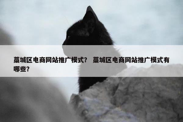 藁城区电商网站推广模式？ 藁城区电商网站推广模式有哪些？