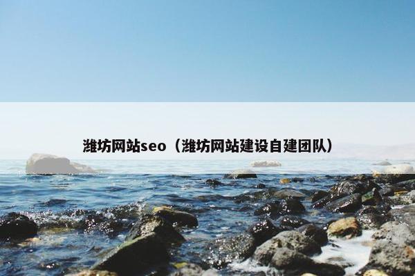 潍坊网站seo（潍坊网站建设自建团队）