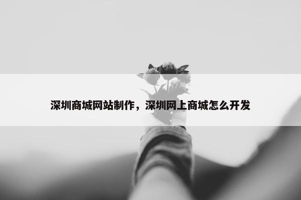 深圳商城网站制作，深圳网上商城怎么开发