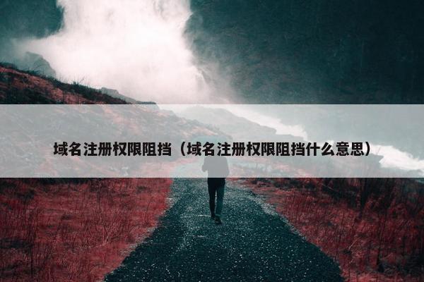 域名注册权限阻挡（域名注册权限阻挡什么意思）