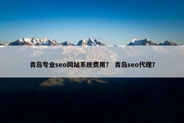 青岛专业seo网站系统费用？ 青岛seo代理？