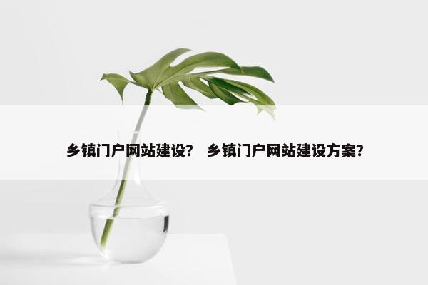 乡镇门户网站建设？ 乡镇门户网站建设方案？