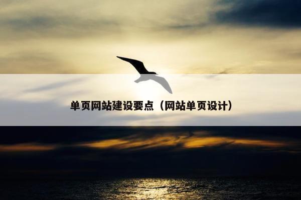 单页网站建设要点（网站单页设计）