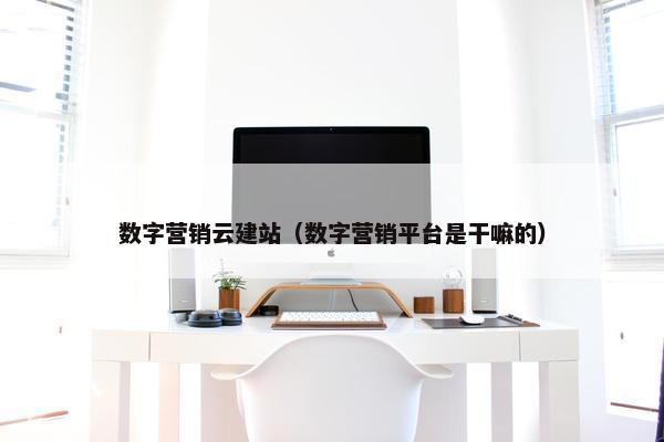 数字营销云建站（数字营销平台是干嘛的）