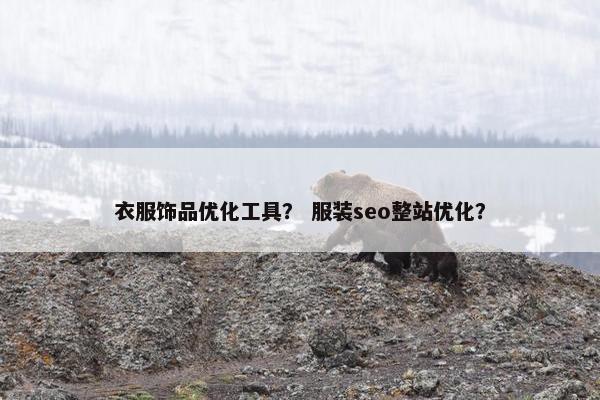 衣服饰品优化工具？ 服装seo整站优化？