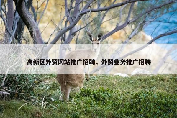高新区外贸网站推广招聘，外贸业务推广招聘