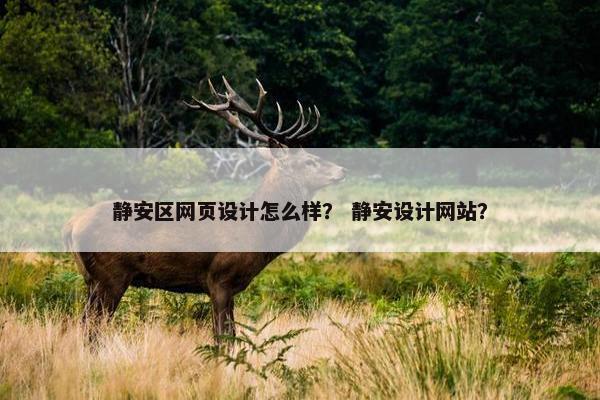 静安区网页设计怎么样？ 静安设计网站？