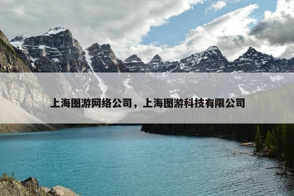 上海图游网络公司，上海图游科技有限公司