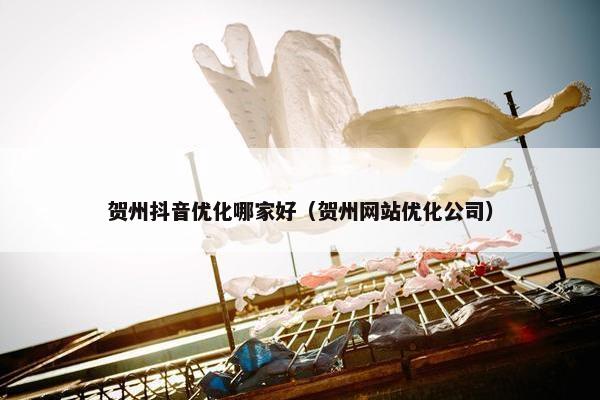 贺州抖音优化哪家好（贺州网站优化公司）