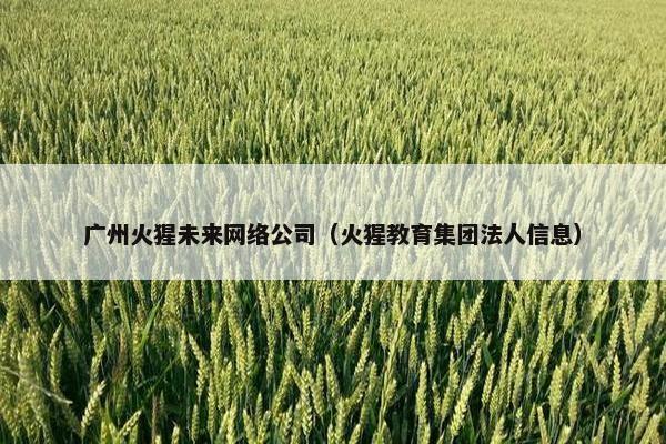 广州火猩未来网络公司（火猩教育集团法人信息）