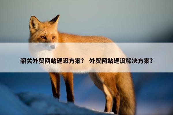 韶关外贸网站建设方案？ 外贸网站建设解决方案？