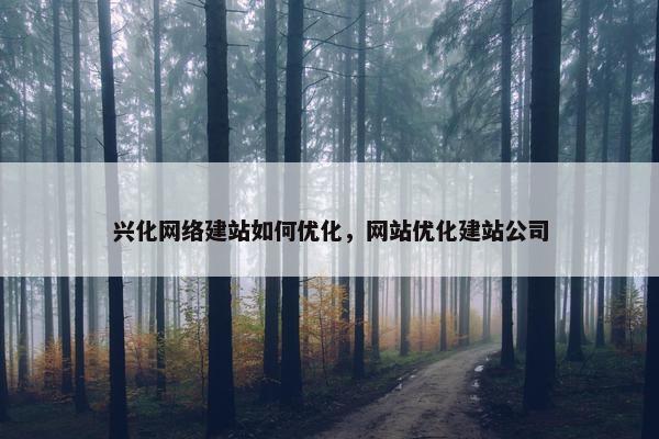 兴化网络建站如何优化，网站优化建站公司