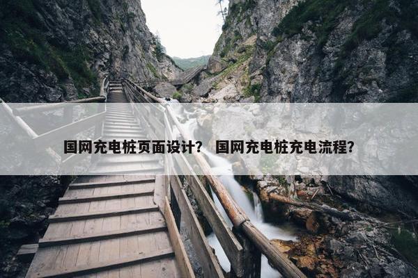 国网充电桩页面设计？ 国网充电桩充电流程？
