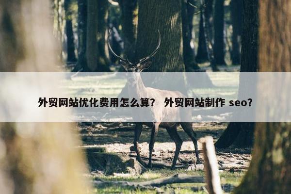 外贸网站优化费用怎么算？ 外贸网站制作 seo？