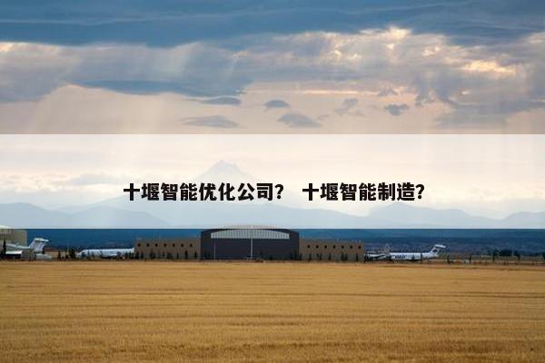 十堰智能优化公司？ 十堰智能制造？