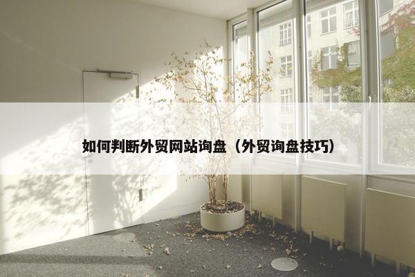 如何判断外贸网站询盘（外贸询盘技巧）