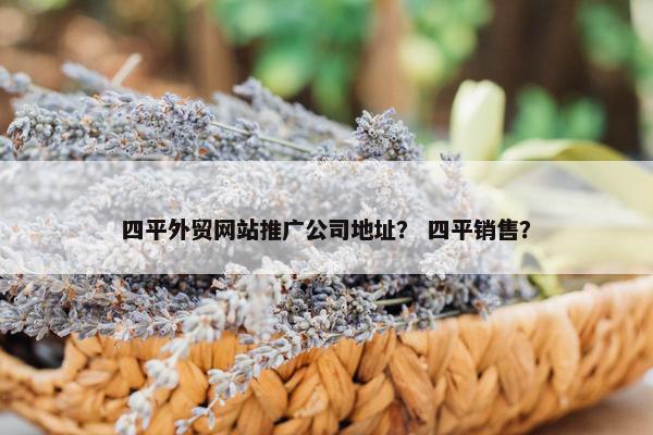 四平外贸网站推广公司地址？ 四平销售？
