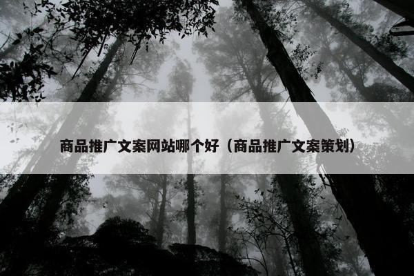 商品推广文案网站哪个好（商品推广文案策划）